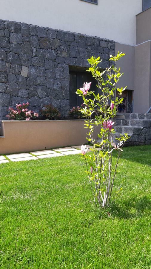 Anna & Alfredo Bed And Breakfast Zafferana Etnea Luaran gambar